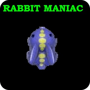 Rabbit Maniac