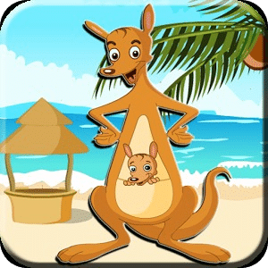 Memory Favorite Kangaroo