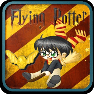 Flying Broom of Harry Potter