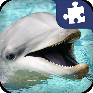 Dolphin Puzzles