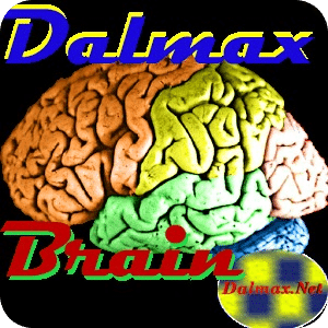 Dalmax Brain