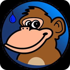 Rainy Monkey