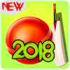 Cricket dunk genuine dunk criket 2018