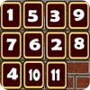 The Puzzle Number
