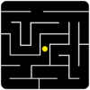 The Maze Puzzle