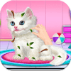 Cute Kitty care game