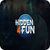 Hidden 4 fun
