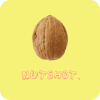 Nut Shot