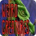 Weird creatures