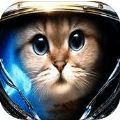太空中的猫