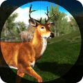 鹿狩猎野生森林与狙击手