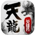 天龍武林