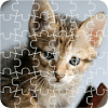 Jigsaw - Cat Kingdom
