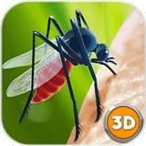 蚊子3D