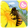 Bee  Insect World