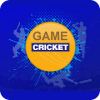 IPL Cricket Game 2019 | Gully Cricket Game