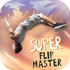 Super Flip Master