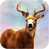 Safari Jungle Hunter 2019