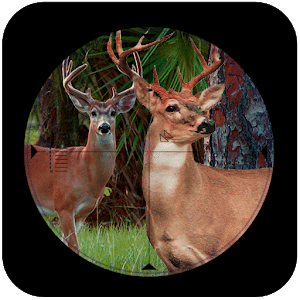Sniper Deer Hunt:jungle hunt