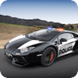 Real Police Car Game 2019 Pro