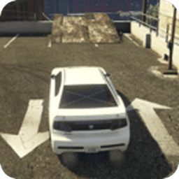 Car Parking - Realistic Driver