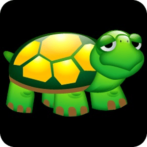 The Slowest Turtle