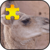 Camel Jigsaw Puzzles Game