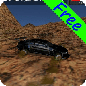 Real Rally 3D