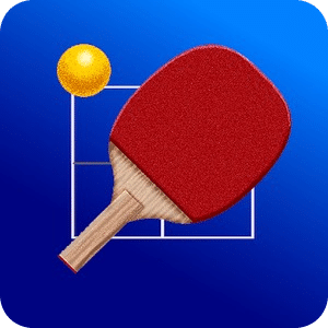 Table Tennis Board
