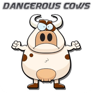 Dangerous Cows