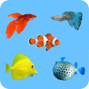 Learning Name Of Fishes - practice, test, sound