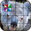 Tile Puzzle Koala Bear