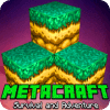 MetaCraft : Exploration Adventure