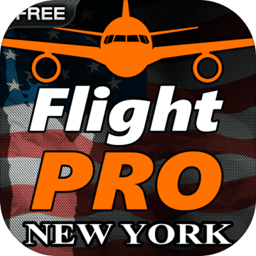 Pro Flight Simulator NY Free
