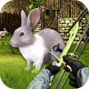 Rabbit Hunt：BowMaster狩獵挑戰(zhàn)賽