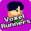 Voxel Runners