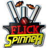 Flick Spinner Cricket 3D