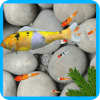 3D Pool Fish Live Wallpaper