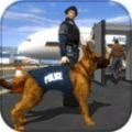 机场警察警犬