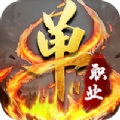 天佑單職業(yè)