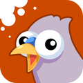 鳥兒便便