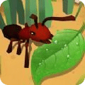 蚂蚁进化3d俘获昆虫