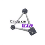 辛迪汽車(chē)駕駛模擬