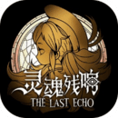 灵魂残响游戏最新免费版 v0.1 灵魂残响游戏最新免费版 v0.1