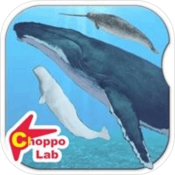 世界鲸与海豚图鉴