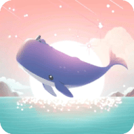 与鲸遨游