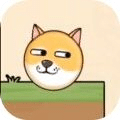 救救狗狗蜜蜂