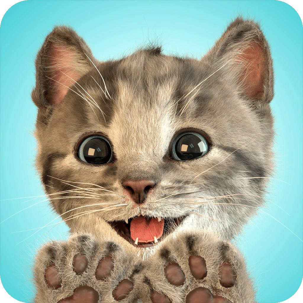 LittleKitten小貓