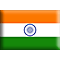 India Flag Widget