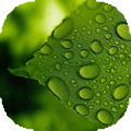 Cool drops of water live wallpaper